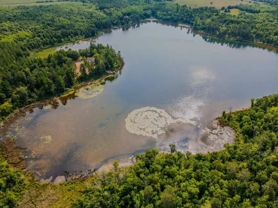 17907 County 81, Park Rapids, MN 56470 - #3