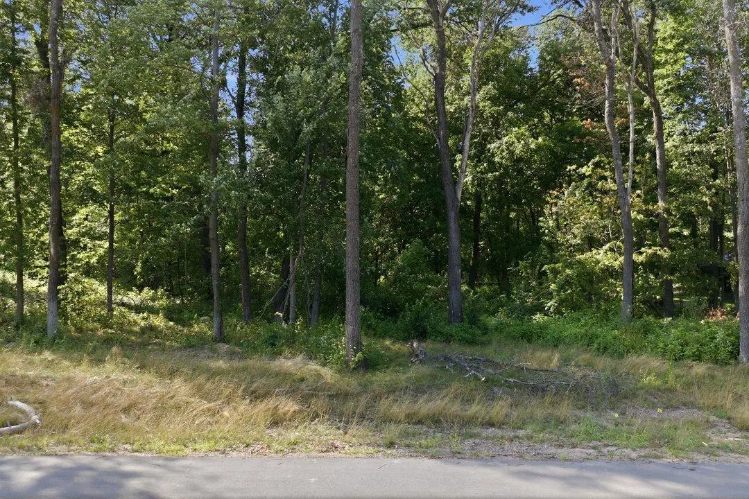 TBD Maplewood Ridge Road, East Gull Lake, MN 56401 - #1