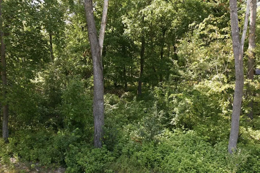 TBD Maplewood Ridge Road, East Gull Lake, MN 56401 - #3