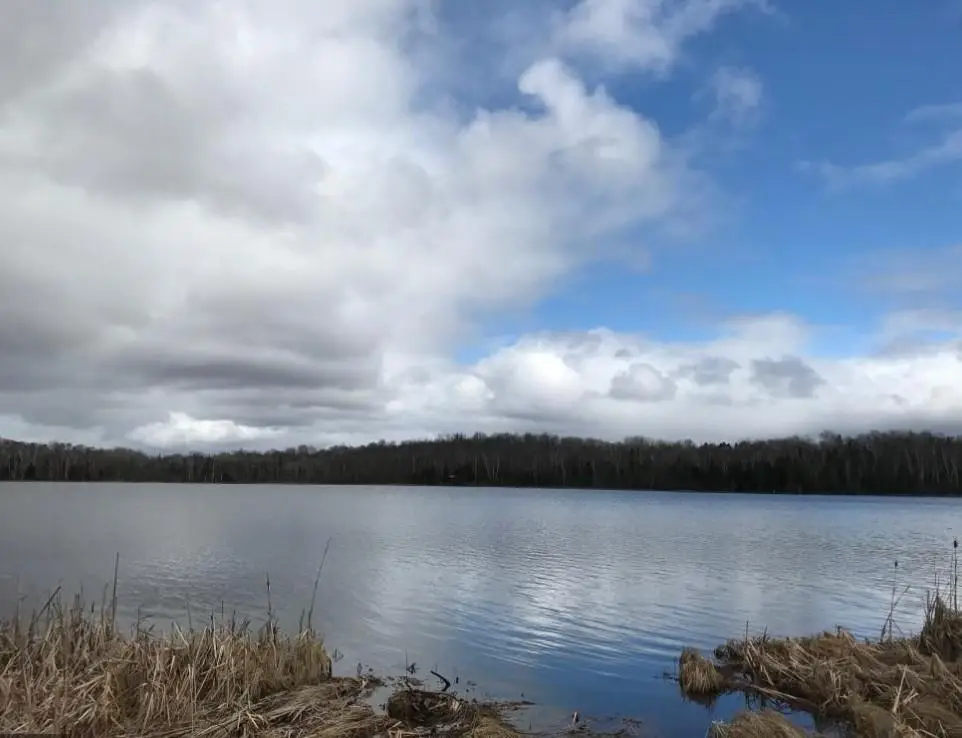 XXX Brandon Road, Arrowhead, MN 55720 - #1