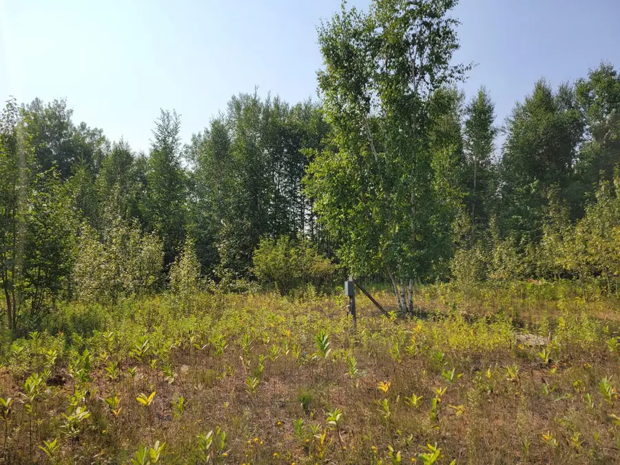 XXX Brandon Road, Arrowhead, MN 55720 - #2
