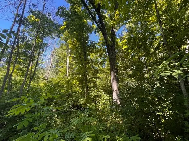 Lot 1 County Road Bb, Woodville, WI 54028 - #2