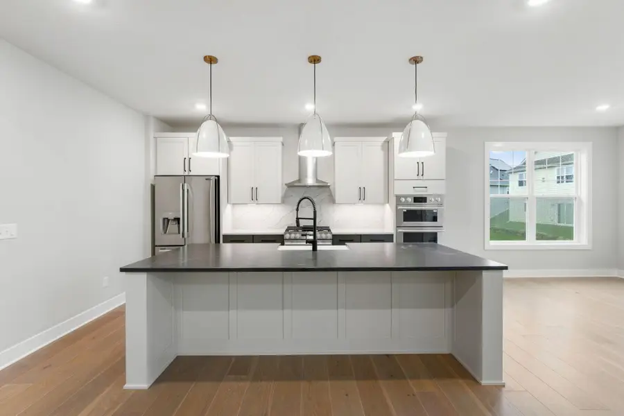 20100 Ginseng Way, Lakeville, MN 55044 - #3