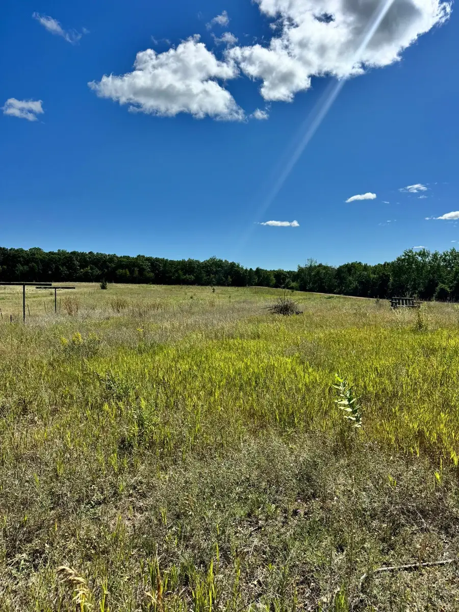 22315 Daisy Road, Nevis, MN 56467 - #3