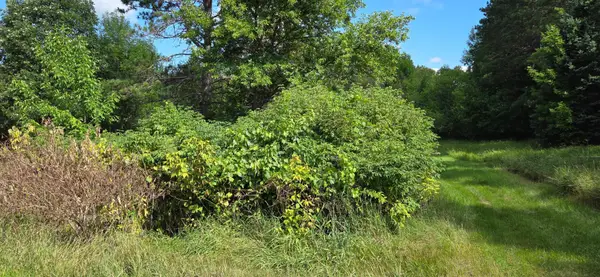 TBD Lot #3 Town Road 207, International Falls, MN 56649