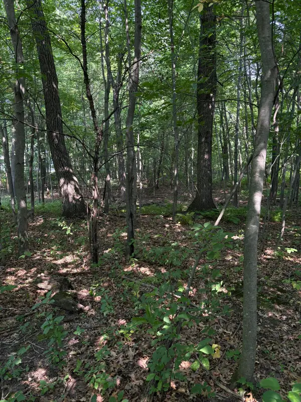 TBD 366th Street, North Branch, MN 55056