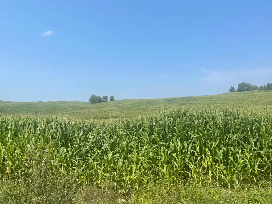 XX 190th Street, Eureka, WI 54024 - #2
