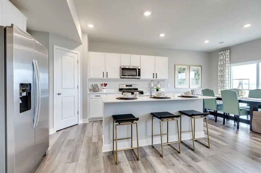 156 Snowdrop Trail, Waconia, MN 55387 - #2