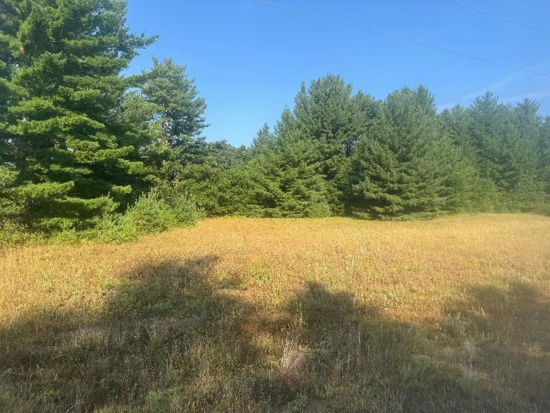 141xx 160th Avenue, Little Falls, MN 56345 - #1