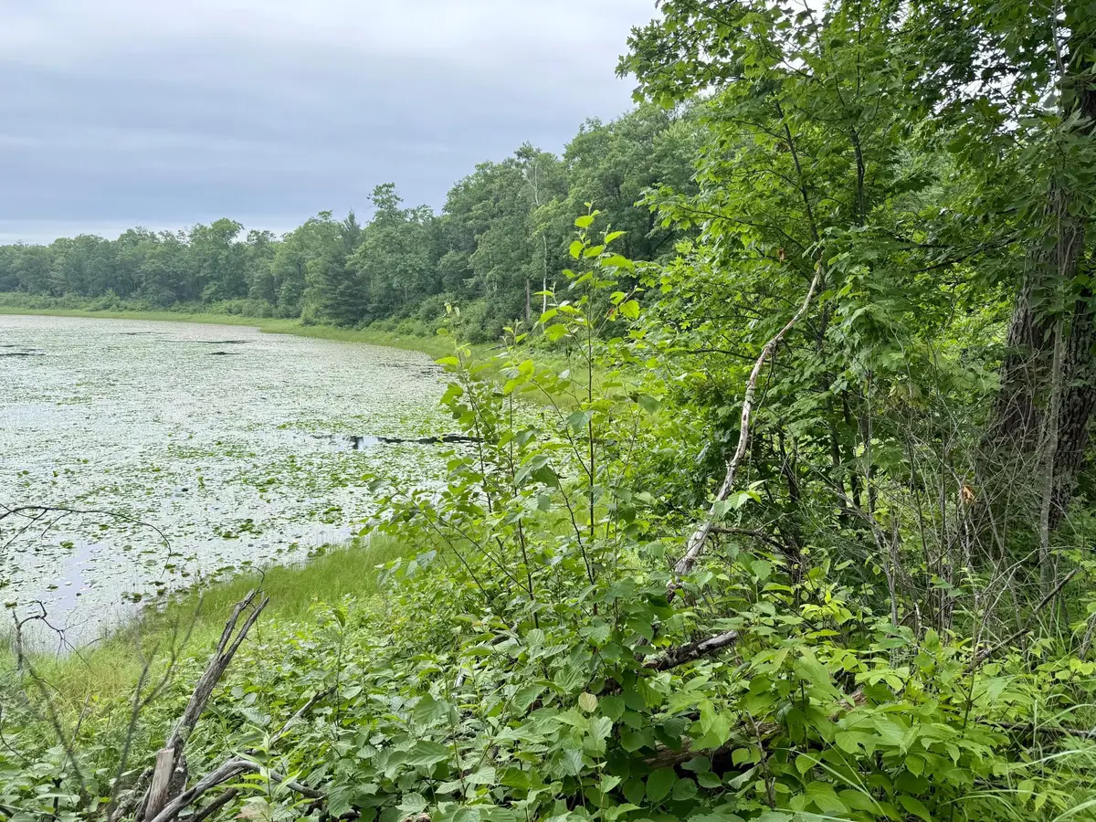 xxxx State Highway 84, Longville, MN 56655 - #1