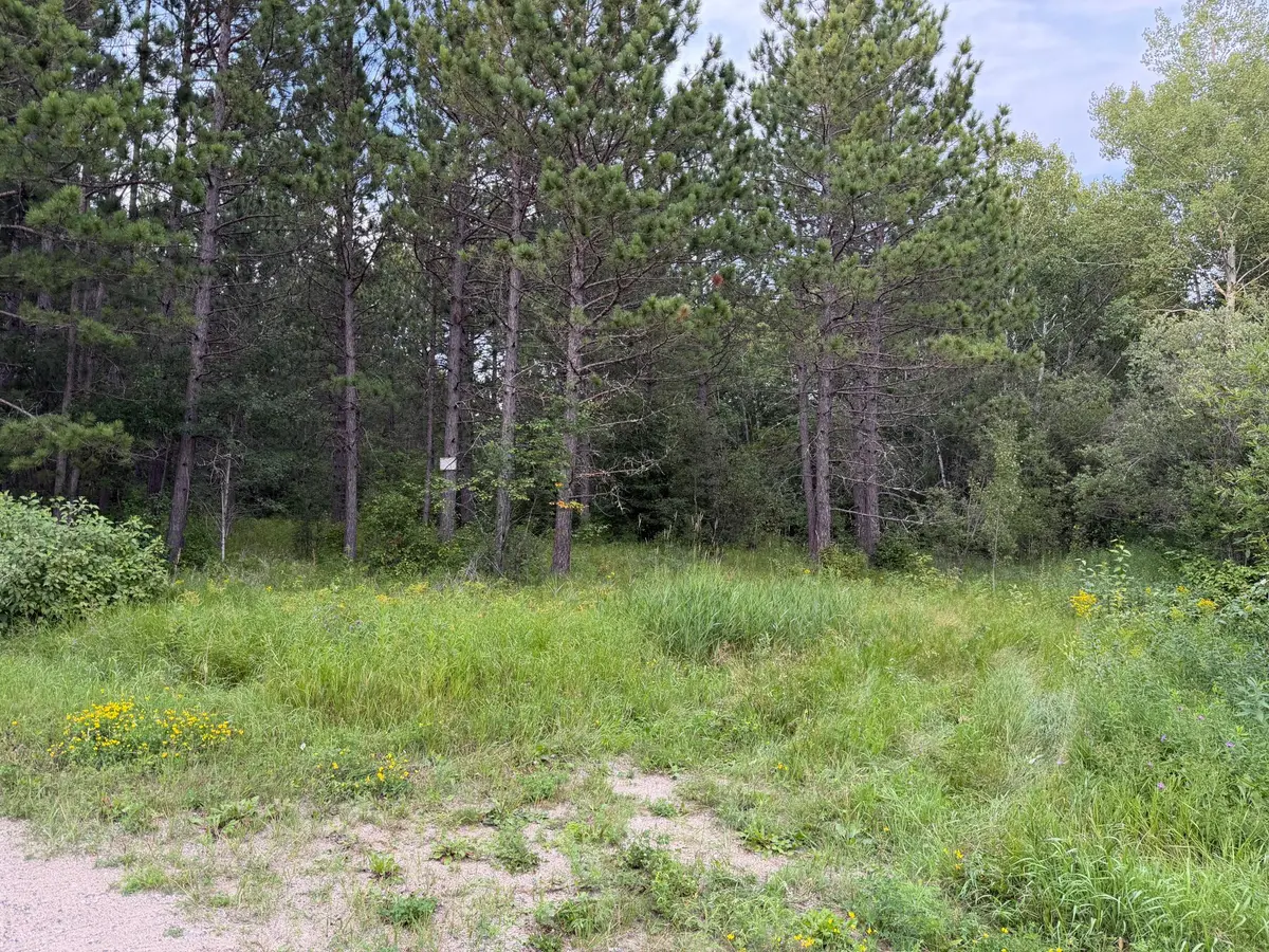 4788 Town Road, Ray, MN 56669 - #1