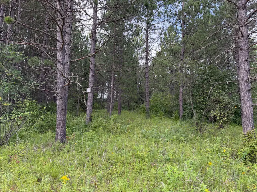 4788 Town Road, Ray, MN 56669 - #2