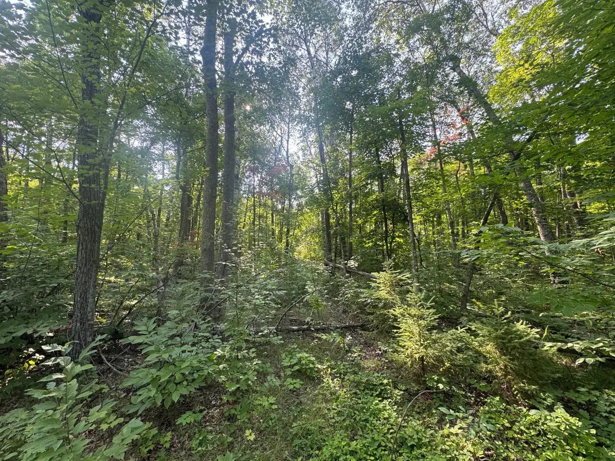 TBD Howard Lake Road Nw, Akeley, MN 56433 - #1