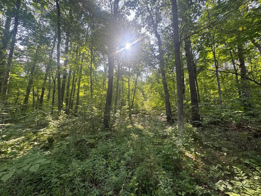 TBD Howard Lake Road Nw, Akeley, MN 56433 - #3