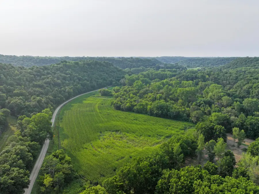 tbd 299th Ave., West Albany, MN 55041 - #2