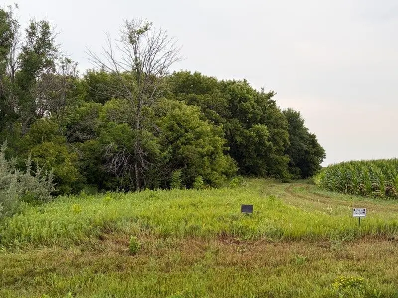 11558 160th Avenue S, Barnesville, MN 56514 - #1