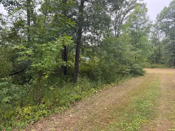 Lot 1 Whitetail, Crosby, MN 56441