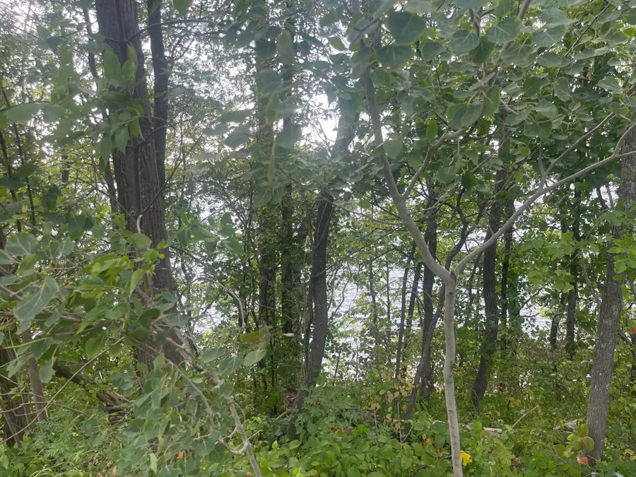 TBD Sand Lake Road, Moose Lake, MN 55767 - #2