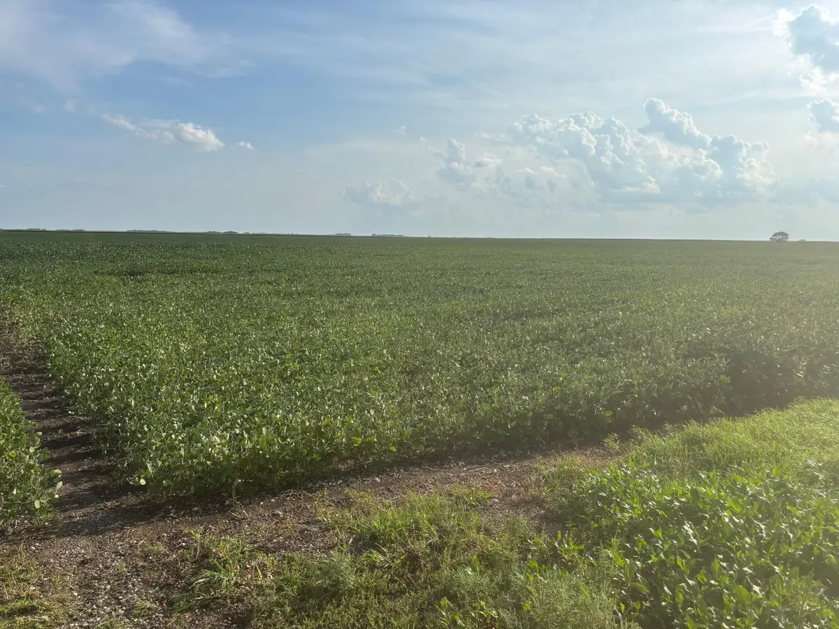 62495 310th Street And 620th, Chokio, MN 56221 - #1