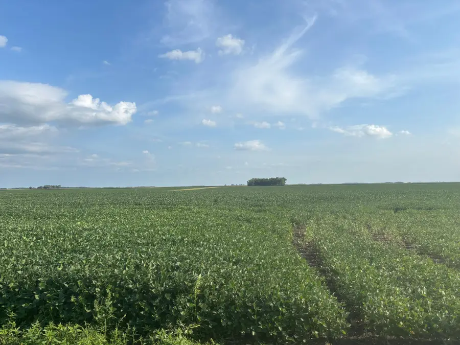 62495 310th Street And 620th, Chokio, MN 56221 - #2