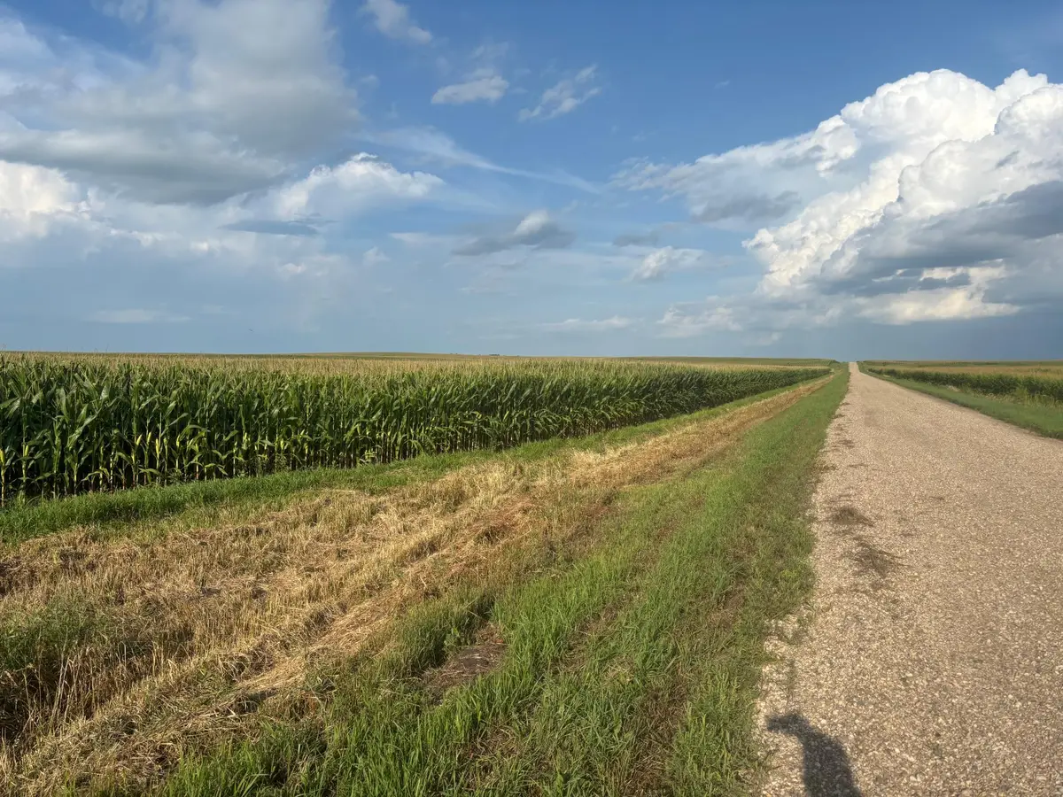 320th St 630th And 320th, Chokio, MN 56221 - #1