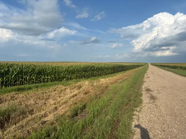 320th St 630th And 320th, Chokio, MN 56221