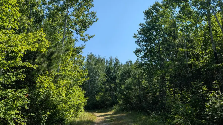 TBD Kennedy Rd, Cook, MN 55723 - #2
