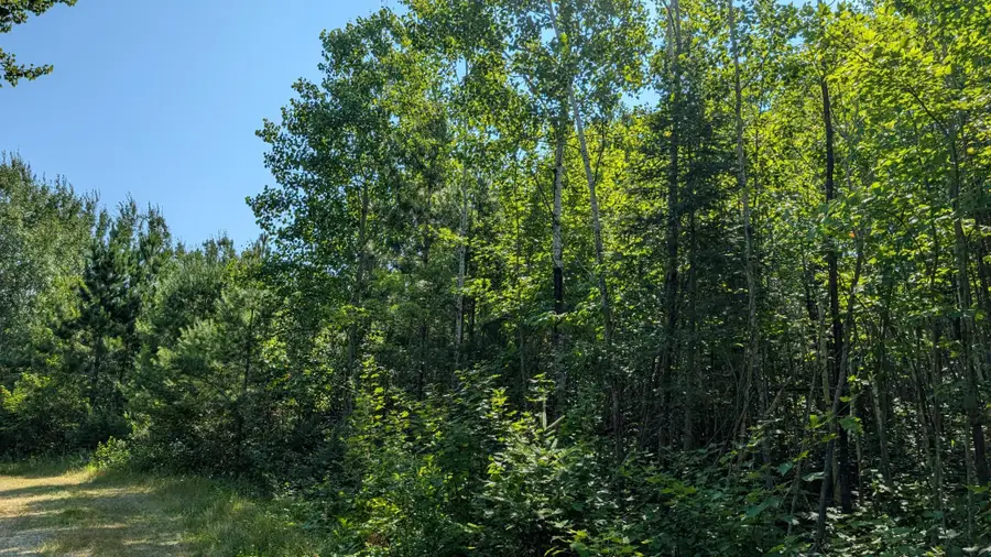 TBD Kennedy Rd, Cook, MN 55723 - #3