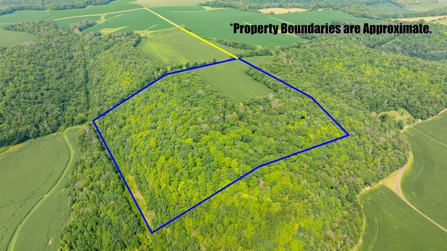 0 Moritz Lane, Arkansaw, WI 54721 - #2