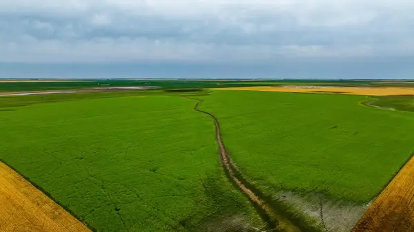 TBD 94 St Ne, Bottineau, ND 58318