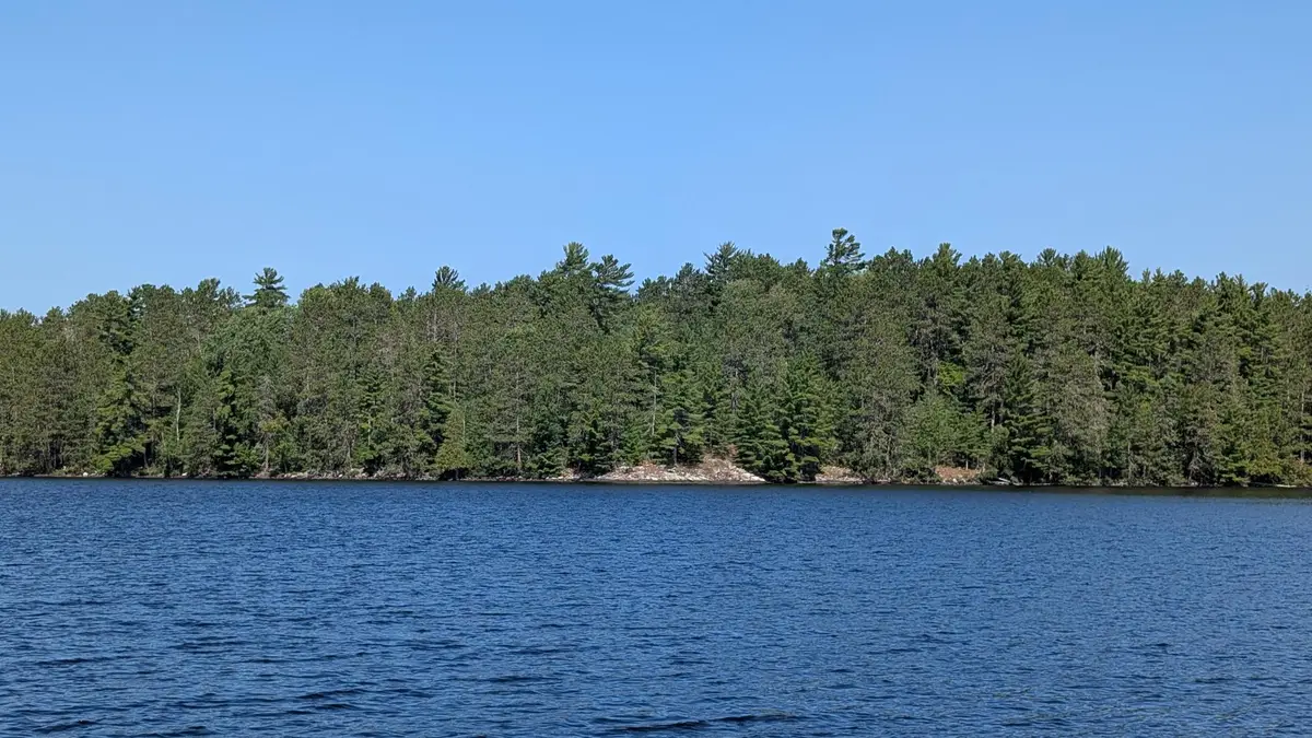 TBD North Arm West, Cook, MN 55723 - #1