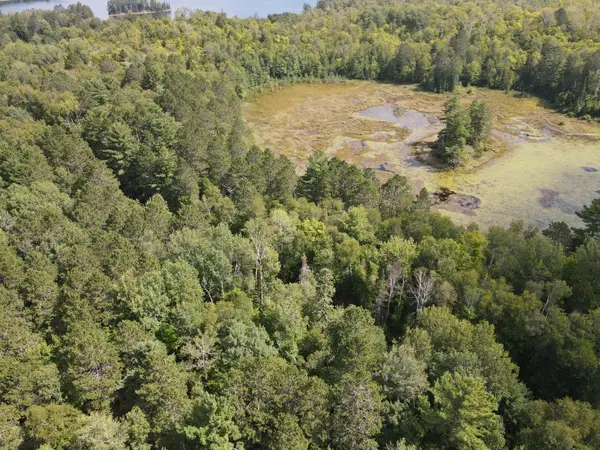 TBD Big Island Lake Trail, Marcell, MN 56657