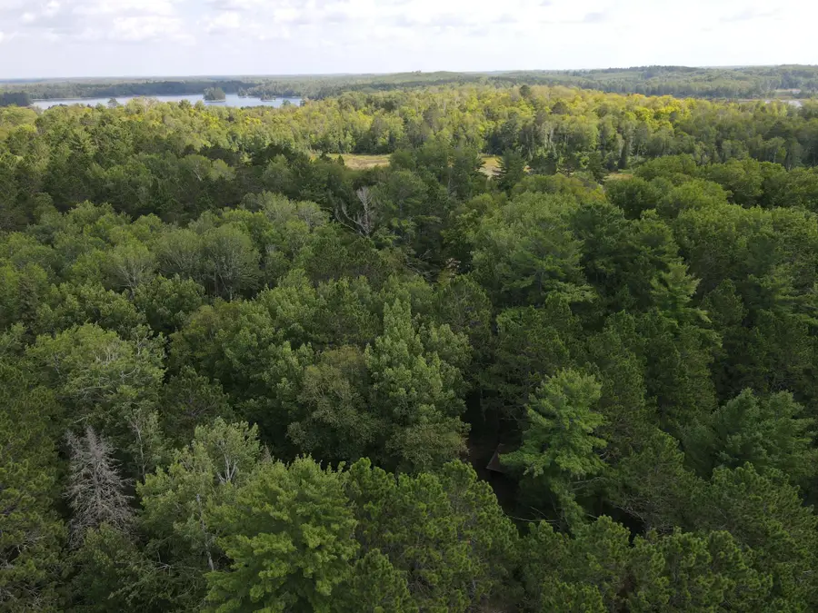TBD Big Island Lake Trail, Marcell, MN 56657 - #2