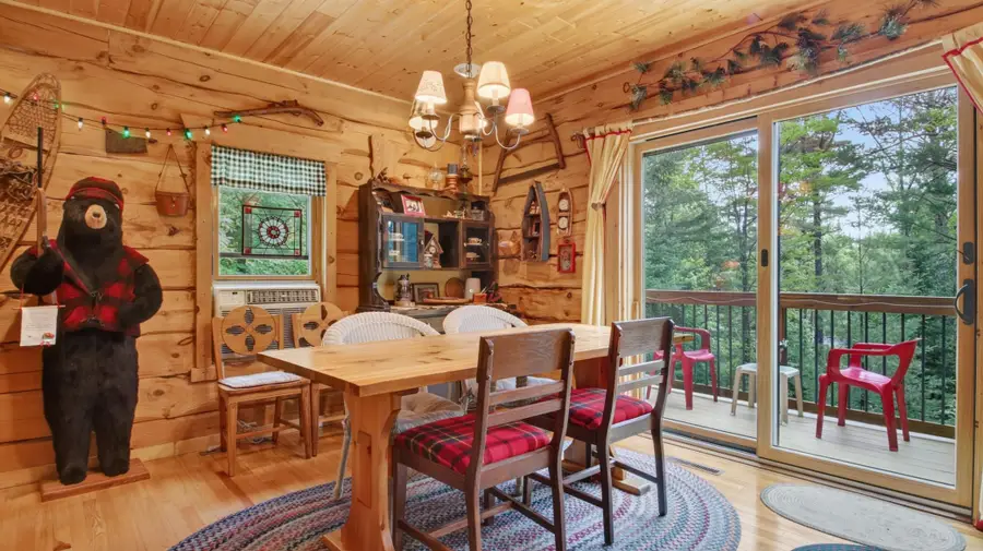 9146 Chippewa Pines Way, Winter, WI 54896 - #3