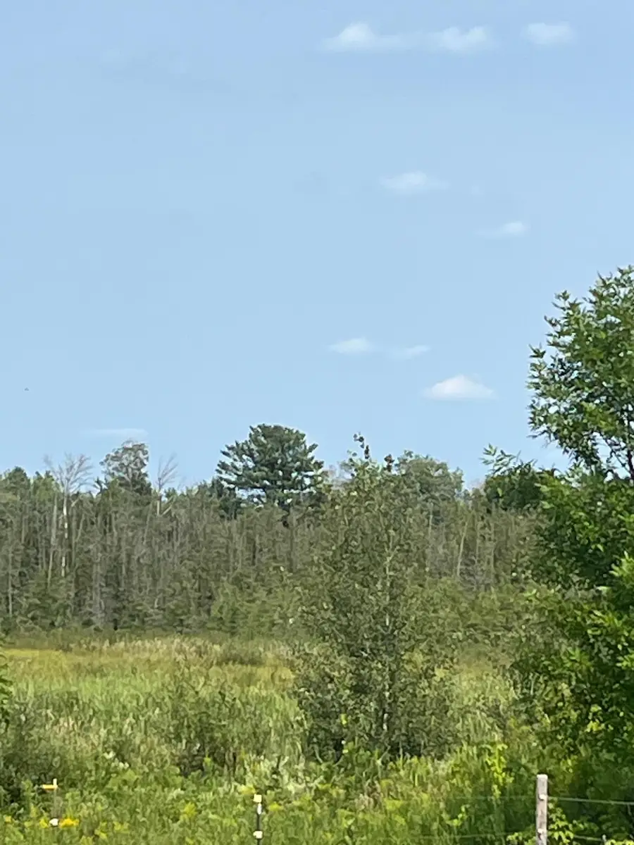 1221 Highway 65, Braham, MN 55006 - #3