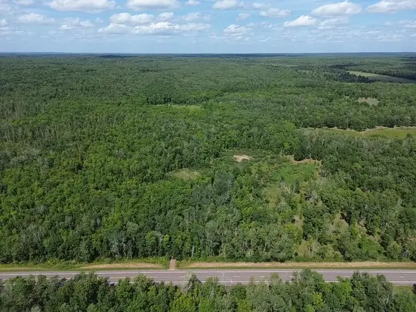 TBD County Rd 1, Pine River, MN 56474