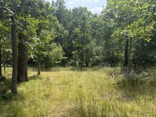 TBD Breezy Point Boulevard, Breezy Point, MN 56472 - #1