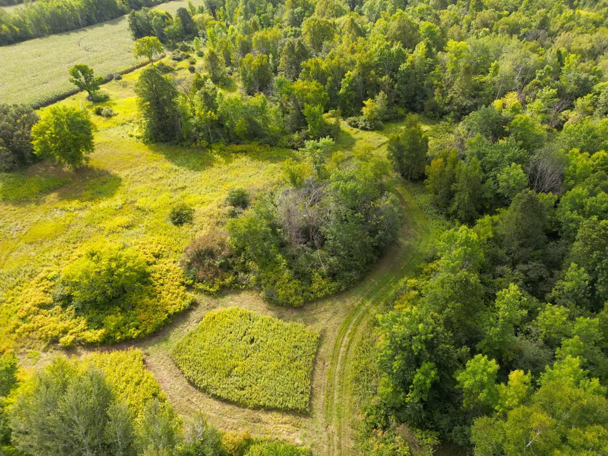1XXX 150th Avenue, Ogilvie, MN 56358 - #1