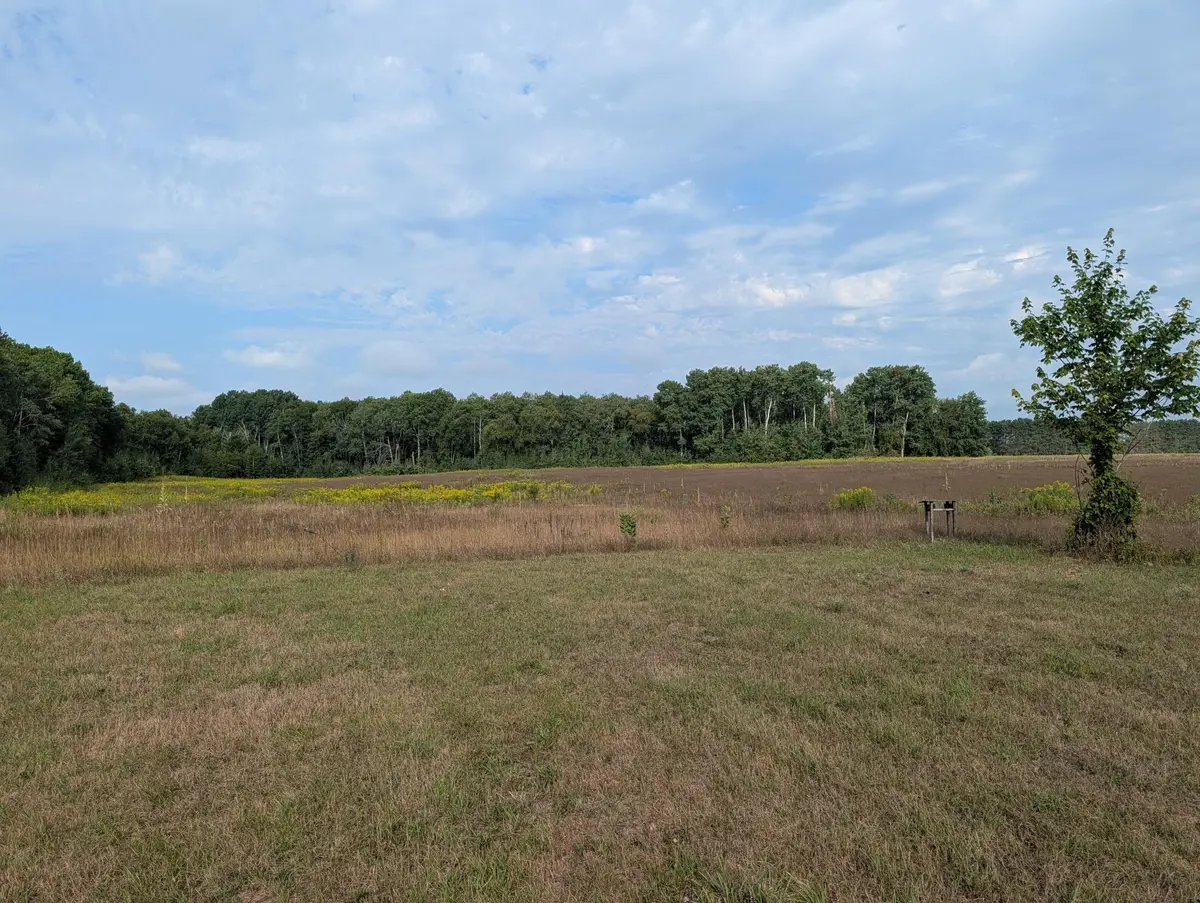 29039 Hawks Nest Lane, Hinckley, MN 55037 - #1