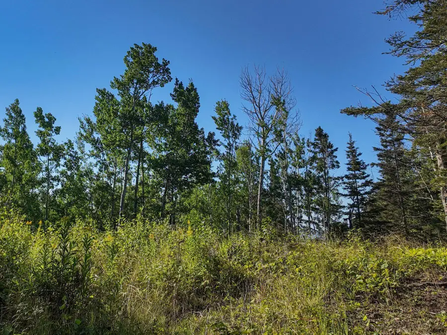 XXX Casper's Hill Road, Grand Marais, MN 55604 - #2