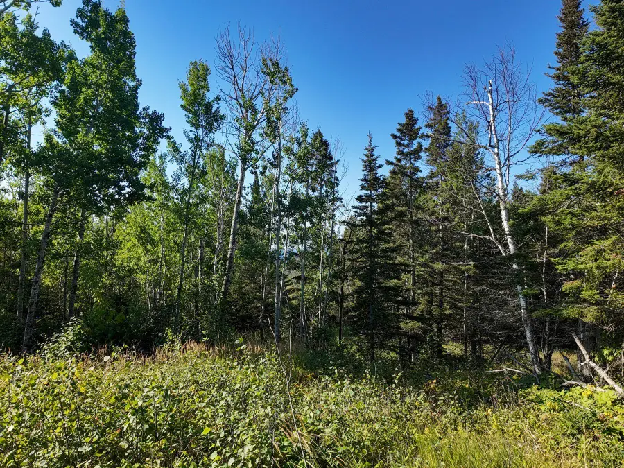 XXX Casper's Hill Road, Grand Marais, MN 55604 - #3