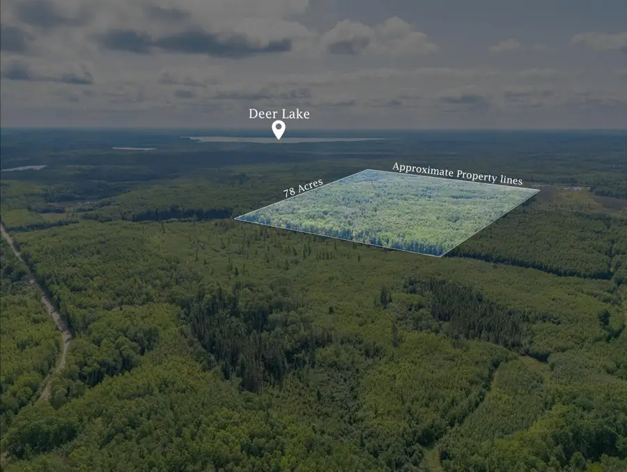 TBD County Rd 523, Effie, MN 56639 - #2