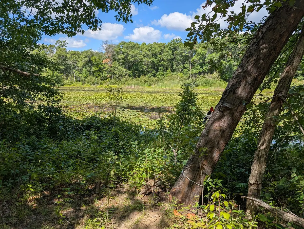 Lot 9 block 1 Fawn Lake Road, Crosslake, MN 56442 - #1