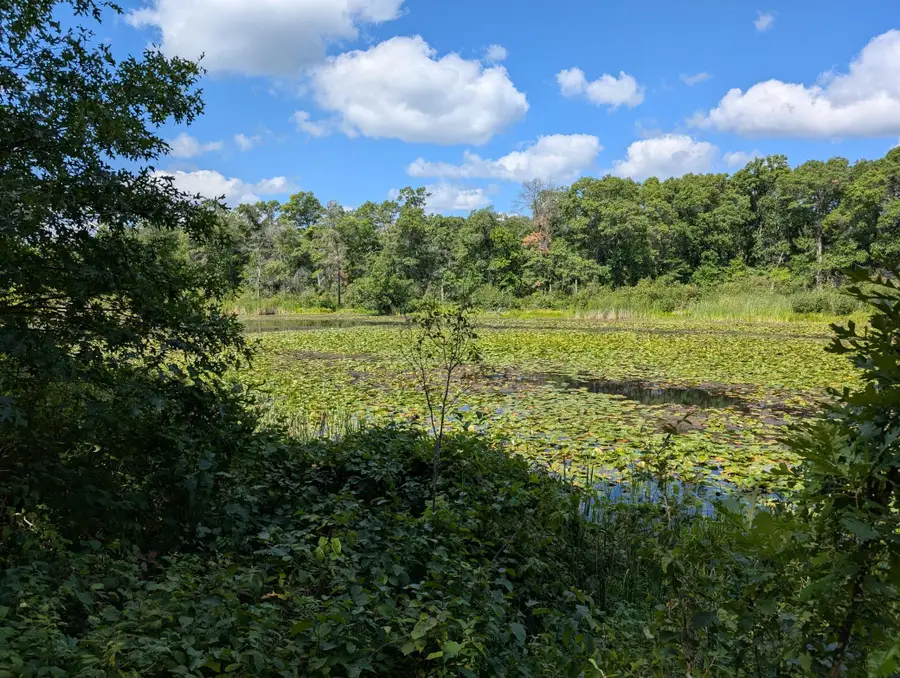 Lot 9 block 1 Fawn Lake Road, Crosslake, MN 56442 - #2