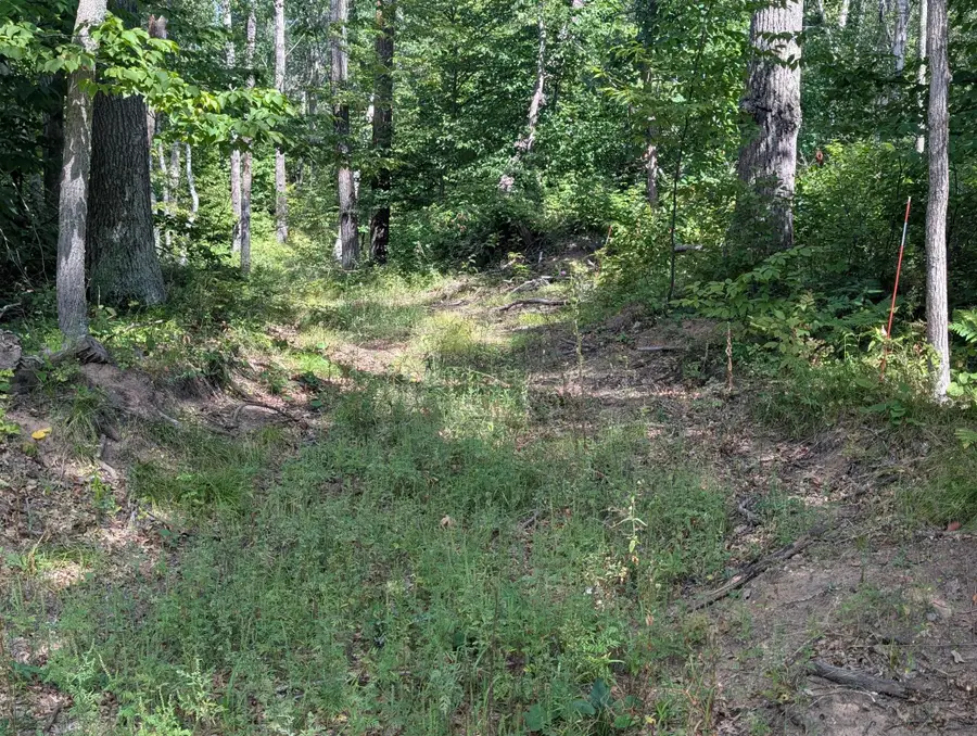 Lot 9 block 1 Fawn Lake Road, Crosslake, MN 56442 - #3