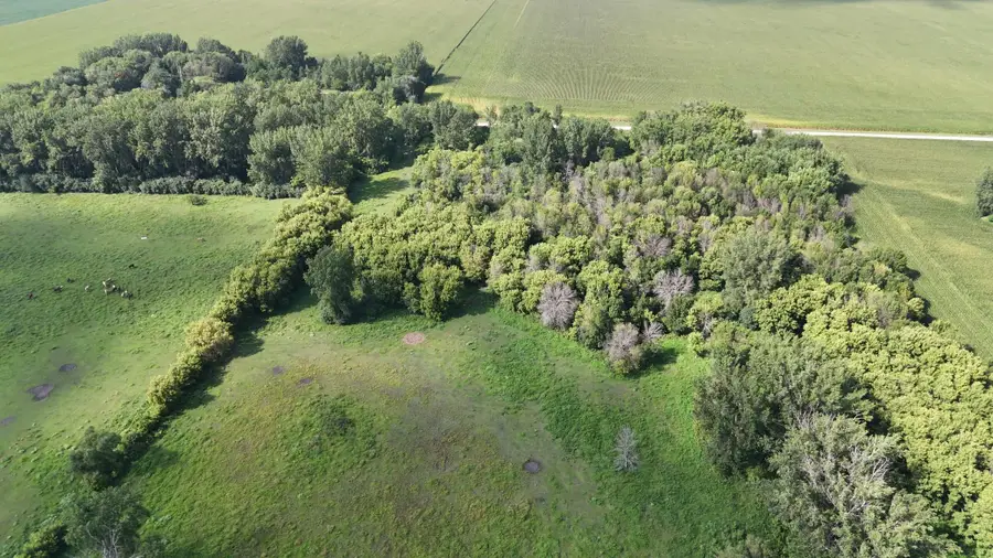 81581 275th Street, Hollandale, MN 56045 - #2
