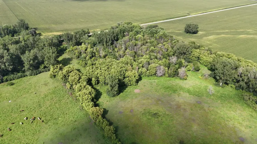 81581 275th Street, Hollandale, MN 56045 - #3