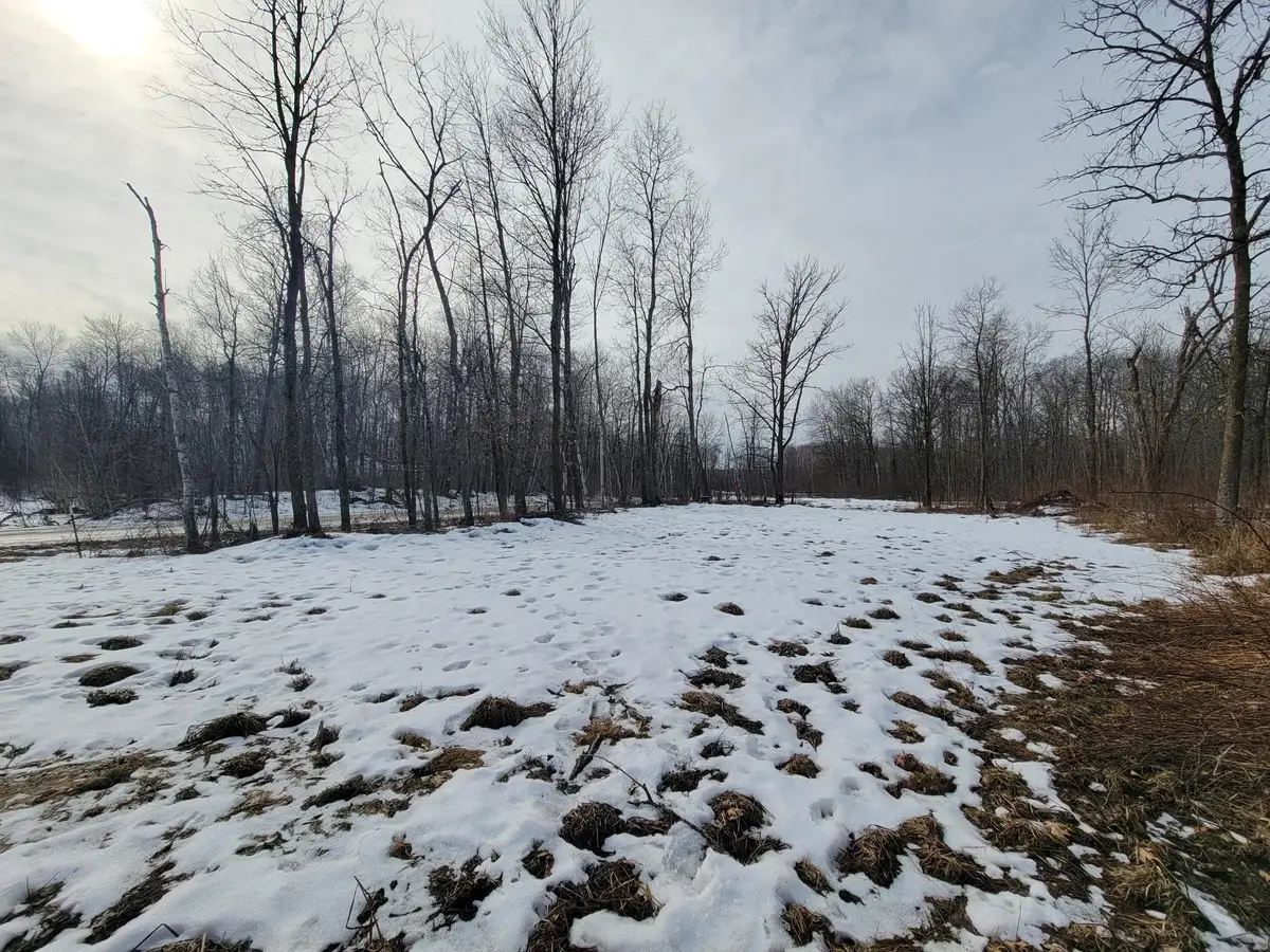 TBD Xxxx Black Bear Drive Sw, Motley, MN 56466 - #1