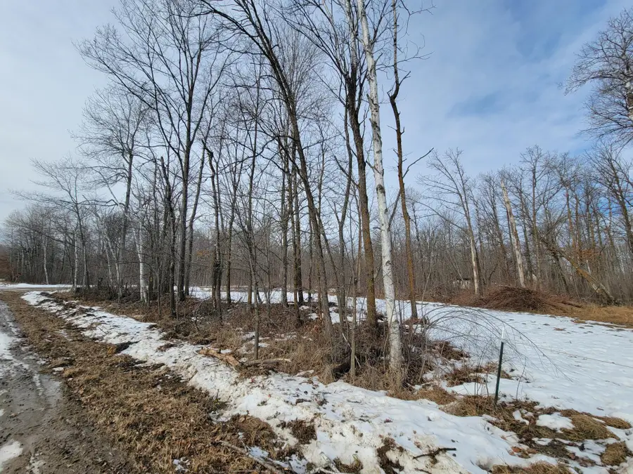 TBD Xxxx Black Bear Drive Sw, Motley, MN 56466 - #3