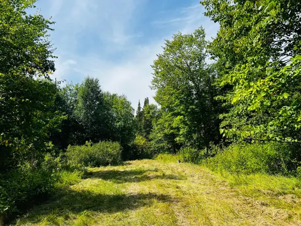 TBD Co Hwy 27, Rochert, MN 56578